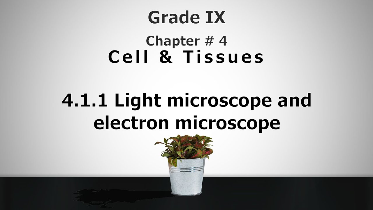 4.1.1 | Light microscope and electron microscope | IX Biology | Mera ...