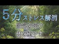 睡眠ストレス解消■5分聴いているだけで不思議と眠気を呼び、疲れた体を癒す睡眠音楽。