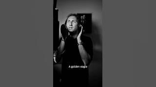 Spatial Vox - No Flying (2019)