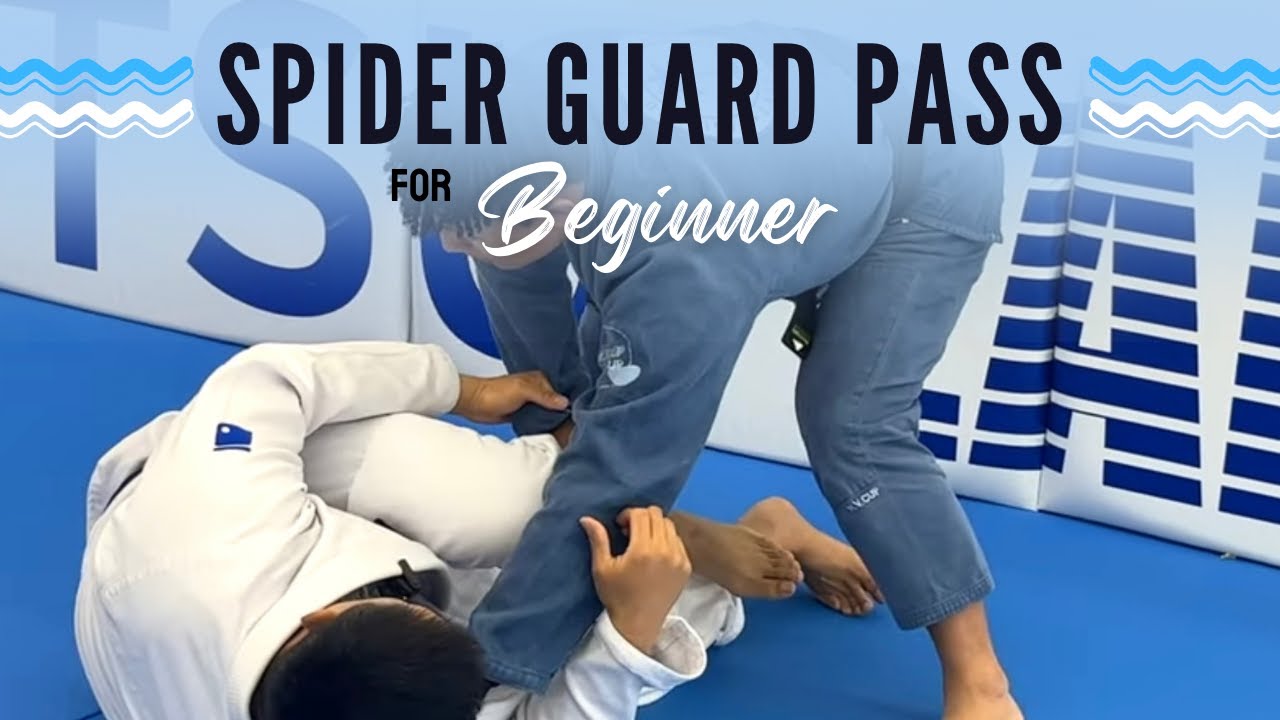 스파이더 가드 패스(오아시스 강홍비)