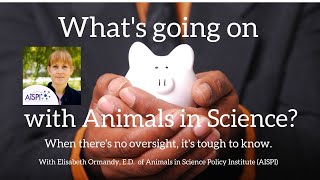 Dr. Elisabeth Ormandy: Why use animals in schools & labs when there are viable options?