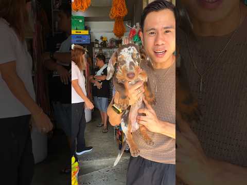 NASA DAVAO CITY NA ANG WALASTIK PETS. CRISAN FEED SUPPLY. #davaocity #samwalastik #walastikpets
