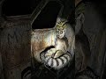 ​Found the Madagascar cast in an abandoned zoo at 3 AM! #zoodles