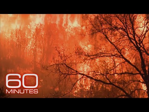 Video: ¿Se reconstruyó Paradise California?