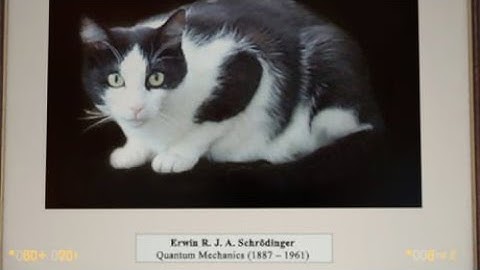 (Fan edit) Grayfruit plays Black Mesa part 2