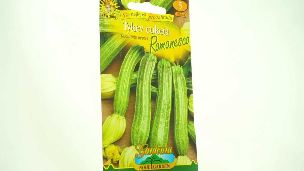 Tykev cuketa zebrovaná Romanesco