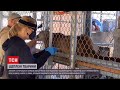 Новини світу: зоопарк Сан-Франциско вакцинував від коронавірусу своїх підопічних