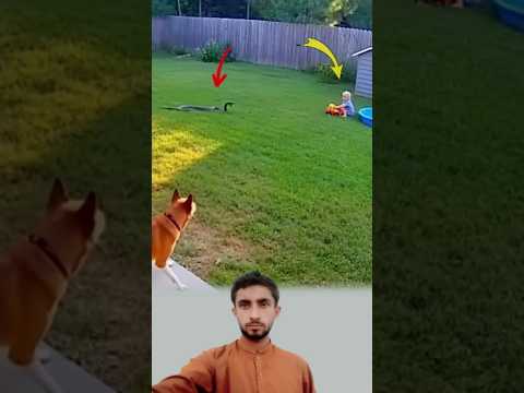 الذات الإلهية التي قد تبتلي الإنسان بمصيبة هي نفسها تهي ئ له سبيل الفرج لايك اكسبلور 