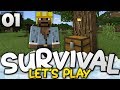 A FANTASTIC START! - Survival Let's Play Ep. 01 - Minecraft Bedrock (PE W10 XB1)