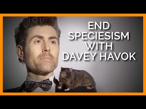 Rocker Davey Havok and Rescued Rat Star in New Ad