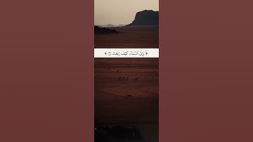سورة الغاشية #القرآن_الكريم