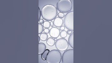 Surface tension | Cinema4d 2023 | Unreal Engine 5.1 | Alembic