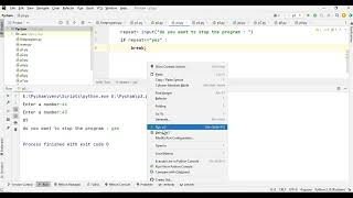 Use of while true statement in python