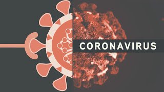 Studying Coronaviruses Vectors To Vaccines