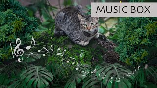 Healing Cat Music & Water Sounds by Sound Sanctuary for Pets 763 views 1 year ago 1 hour