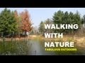 Walking with nature  fabulous outdoors