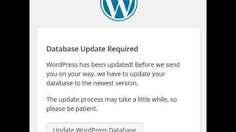 Not able to access admin panel after updating WordPress database fails | Wordpress | BlueTek