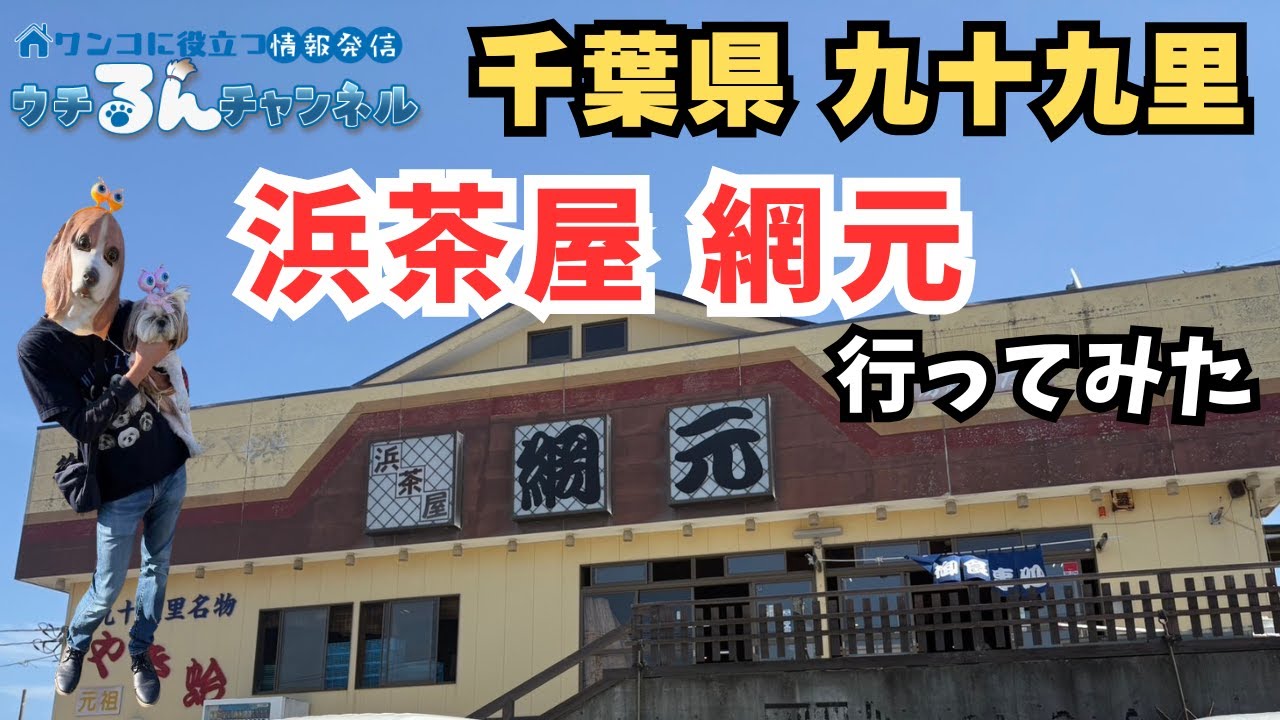 Beach BBQ with My Dog: Visiting Hamachaya Amimoto (Kujukuri, Chiba