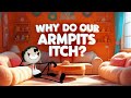 Understanding Itchy Armpits