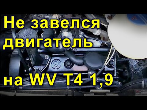 Не завелся двигатель на WV Т4 1,9