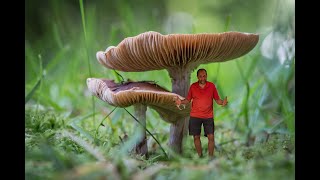 CREATIVE PHOTOGRAPHY TIPS & TRICKS - Creating Dreamlike Photos