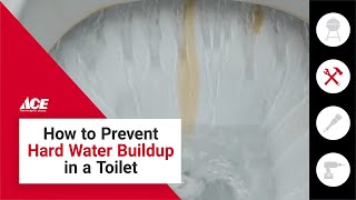 How To Prevent Hard Water Stains In Your Toilet (No More Brown Ring) | Ace Hardware @AceHardware
