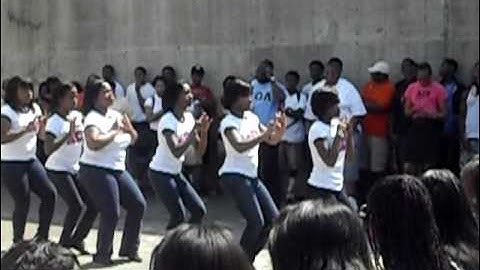 Mhy  Lambda  zeta  chi sis probate 2010