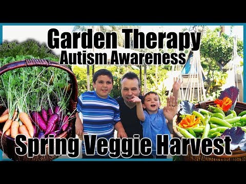 Video: Autisma dārzkopības terapija - uzziniet par dārzkopību bērniem ar autismu