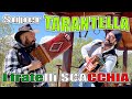 Super tarantella i fratelli scacchia enzo e nicola campioni del mondo musica dei fratelli scacchia