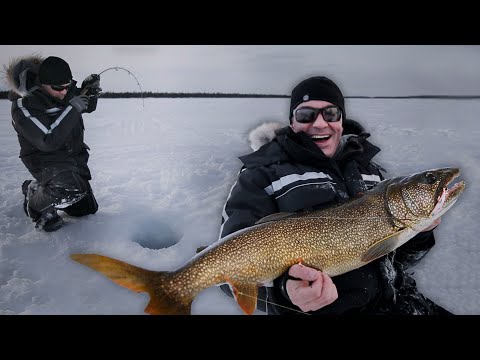 Miniature de la vidéo : ÉNORME TRUITE SUR LA GLACE - Cyril Chauquet