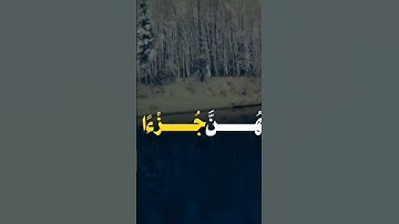 قرآن كريم #اكسبلور #قرآن #tiktok