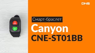 Распаковка смарт-браслета Canyon CNE-ST01BB / Unboxing Canyon CNE-ST01BB