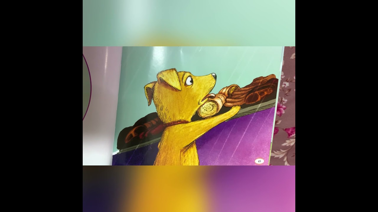 The dog and his reflection