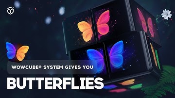 Collect butterflies on the WOWCube® Entertainment System