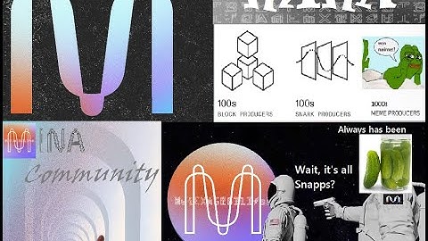 Mina Protocol: the power of the MINA Community