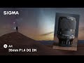 Gambar Sigma 35mm f1.4 Sony Fullframe DG DN Art Sigma 35mm f/1.4 GARANSIRESMI dari JPCKemang Jakarta Selatan 6 Tokopedia