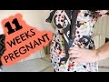 11 WEEKS PREGNANT UPDATE  |  EMILY NORRIS
