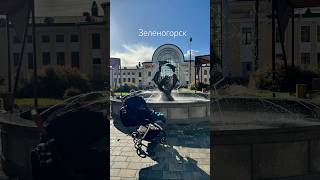 #зеленогорск #буднисмалышом #гуляем