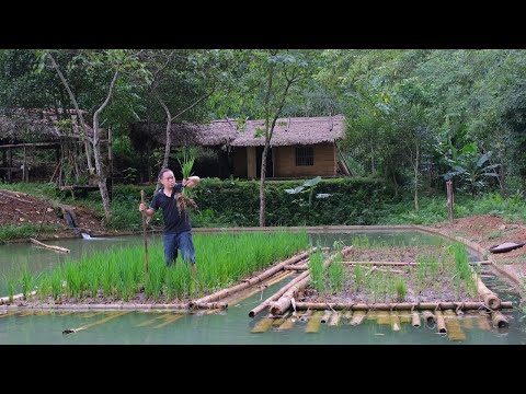 RICE RAFT FLOATING in the Pond, Bad thing Happened. Primitive Skills (ep179)