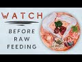7 Things You Need To Know Before Raw Feeding Your Pet