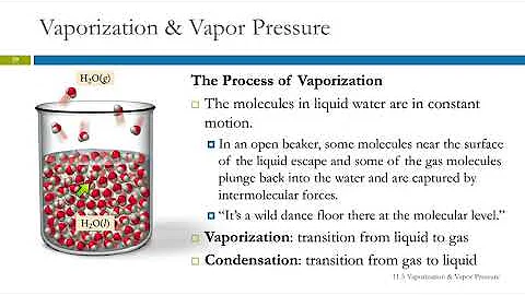 11.5 Vaporization & Vapor Pressure