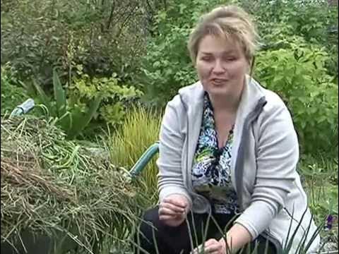 Мульчирование - YouTube