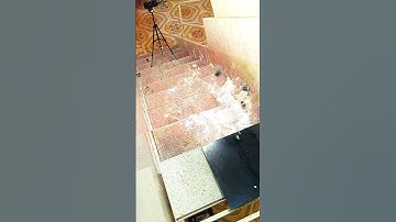 #shorts Breaking glass bottles🙀🔥A Crushing Crunchy & Soft Things !🚧⚠️#asmr #subscribe #bottle #like