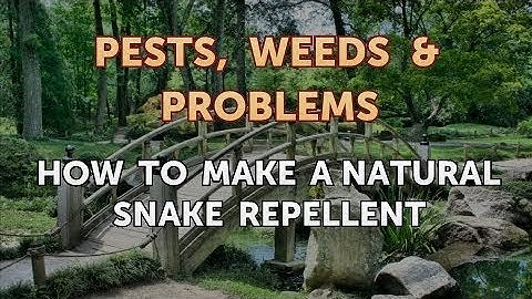 How to Make a Natural Snake Repellent