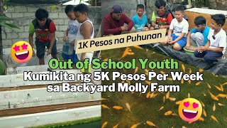 Out of School Youth, Kumikita ng 5K Pesos/week sa Backyard Molly Farm