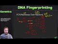 STR (Short Tandem Repeat) Analysis and DNA Fingerprinting Example | Genetics