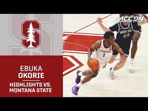 Stanford Guard Ebuka Okorie Highlights vs. Montana State