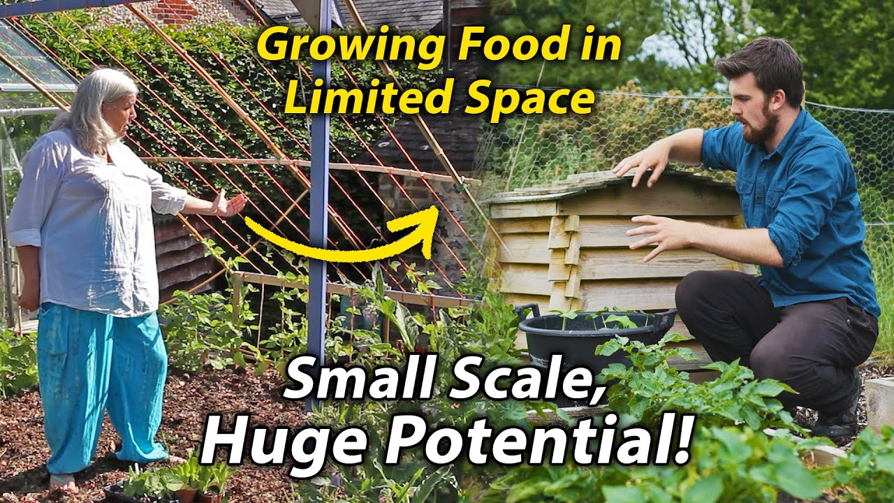 10 Tips to Maximise Food Production in a Small Vegetable Garden Small