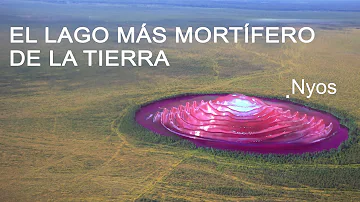 ¿Qué es lo más mortífero de la Tierra?