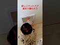新しくなったペットドアの寿命
